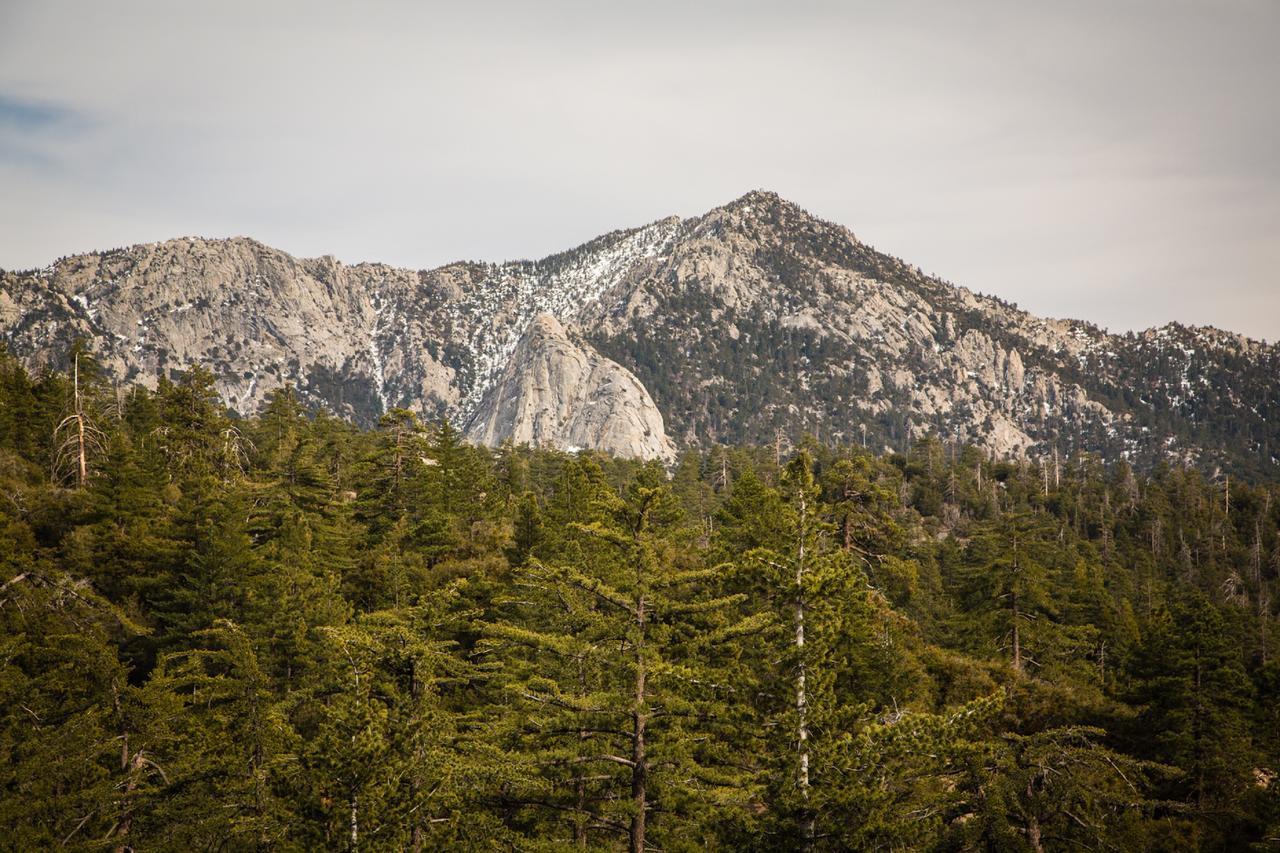 Idyllwild Camping Resort Cabin Luaran gambar